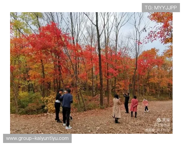 开云体育官方活动期间的精彩内容盘点让你不错过每一次精彩的赛事与促销优惠
